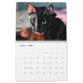 Schwarze Katzen Foto Mauerkalender Kalender (Jan 2026)