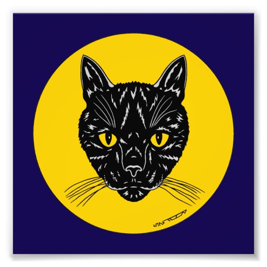 Schwarze Katzen-Gesicht-Foto-Kunst Fotodruck (Vorne)