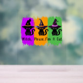 Schwarze Katzen in der Hexe hassen essenziellen T Acrylschild (Neutral)