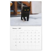 Schwarze Katzen Kalender (Feb 2027)