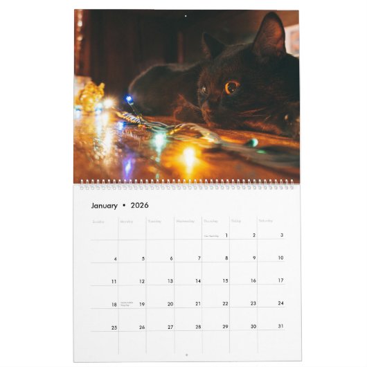 Schwarze Katzen Kalender (Jan 2026)