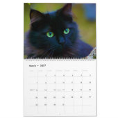Schwarze Katzen Kalender (Mär 2027)