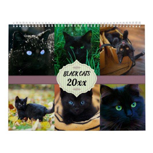 Schwarze Katzen Kalender (Titelbild)