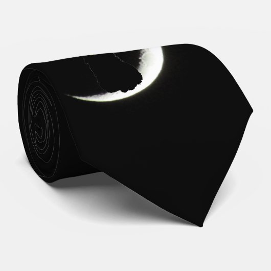 Schwarze Katzen-Lieben Sie zum Mond und zur Krawatte (Gerollt)