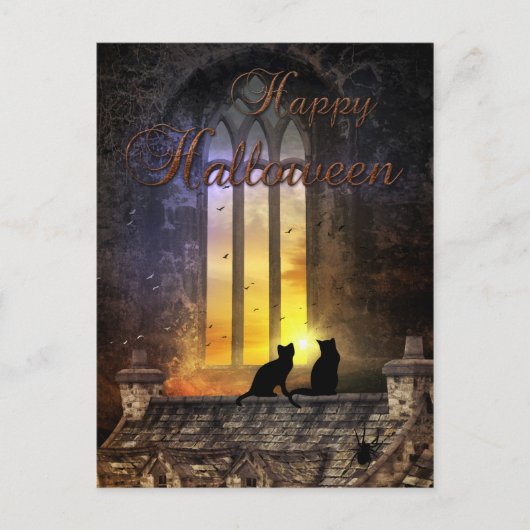 Schwarze Katzen Magische Halloween-Postkarte Postkarte (Vorderseite)
