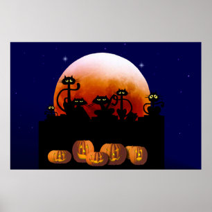 Schwarze Katzen, Mond, Pumpkins Poster