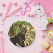 Schwarze Katzen-Morgen Sun Pappteller (Party)