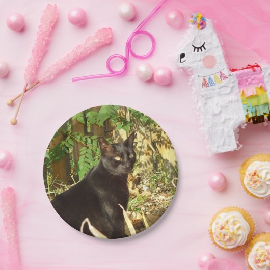 Schwarze Katzen-Morgen Sun Pappteller (Party)