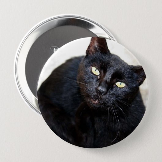 Schwarze Katzen-Porträt Button (Vorne & Hinten)