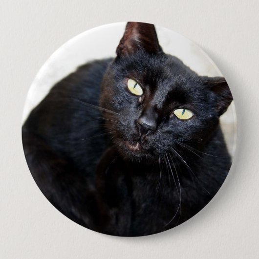 Schwarze Katzen-Porträt Button (Vorderseite)