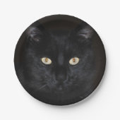 Schwarze Katzen-Porträt Pappteller (Vorderseite)