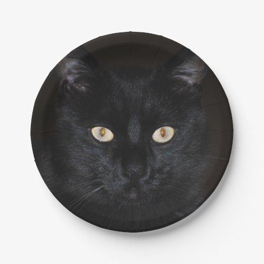 Schwarze Katzen-Porträt Pappteller (Vorderseite)
