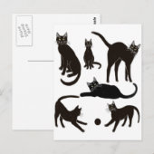 Schwarze Katzen Postkarte (Vorne/Hinten)