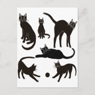 Schwarze Katzen Postkarte