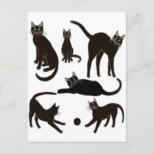 Schwarze Katzen Postkarte (Vorderseite)