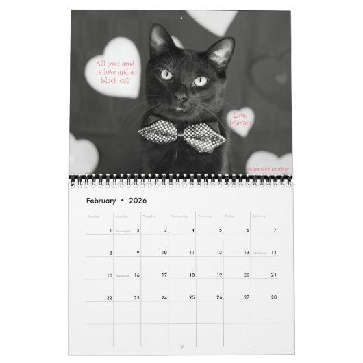 Schwarze Katzen sagen allem Kalender 2018 (Feb 2026)