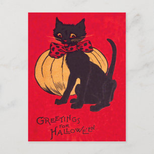 Schwarze Katzen-Schleife Kürbis Vintage Postkarte
