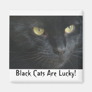 Schwarze Katzen sind glücklich! Magnet