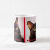 Schwarze Katzen sind schöne Kaffee-Tasse (Version Kaffeetasse (Mittel)