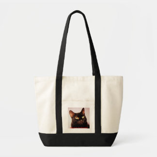 Schwarze Katzen sind schöne Tasche