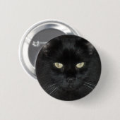 Schwarze Katzen-Starren Button (Vorne & Hinten)