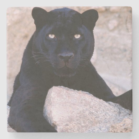 Schwarze Katzen-Stein-Untersetzer Steinuntersetzer (Vorderseite)