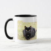 Schwarze Katzen-Tasse Tasse (Links)