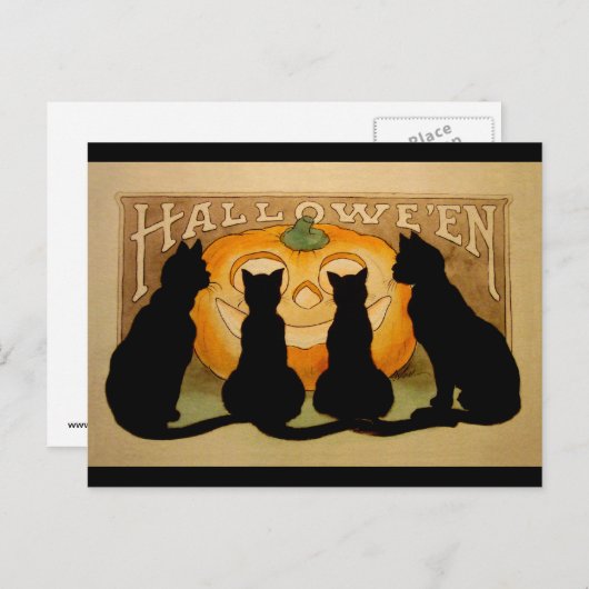 Schwarze Katzen und ein Jack O'Lantern Postkarte (Vorne/Hinten)