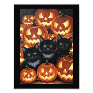 Schwarze Katzen und Jack O’Lanterns Fotodruck