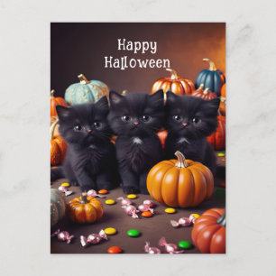 Schwarze Katzen und Kürbis Halloween Night Szene Postkarte