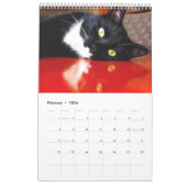 Schwarze Katzen-Verein-Kalender Vol. 1 Kalender (Feb 2026)