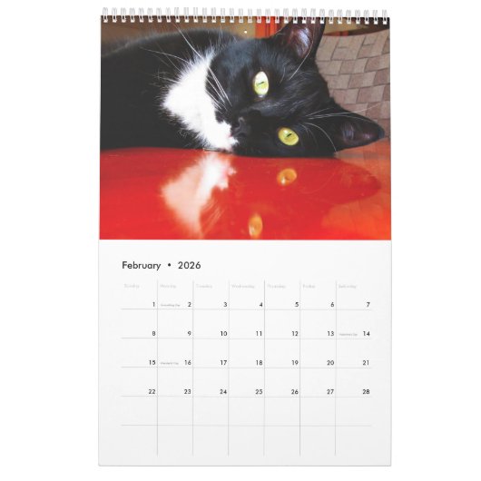 Schwarze Katzen-Verein-Kalender Vol. 1 Kalender (Feb 2026)
