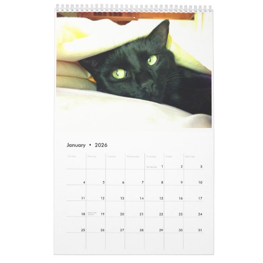 Schwarze Katzen-Verein-Kalender Vol. 1 Kalender (Jan 2026)