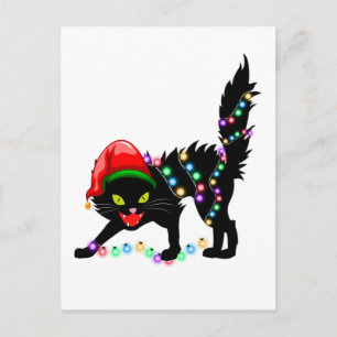 Schwarze Katzen-Weihnachtslichter Postkarte
