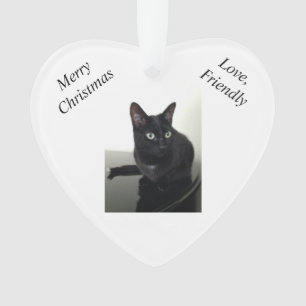Schwarze Katzen-Weihnachtsverzierung Ornament