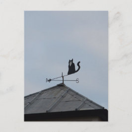 Schwarze Katzen-Wetterfahne Postkarte