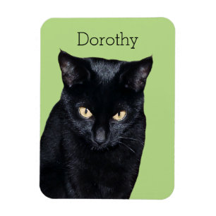 Schwarze Katzen-wirklicher Magnet