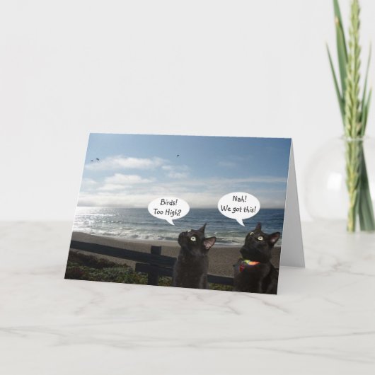 Schwarze Katzen Wollend Vogelschutzkarte Karte (Vorderseite)