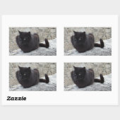 Schwarze Katzenaufkleber Rechteckiger Aufkleber (Blatt)