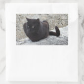 Schwarze Katzenaufkleber Rechteckiger Aufkleber (Tasche)