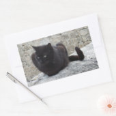 Schwarze Katzenaufkleber Rechteckiger Aufkleber (Umschlag)