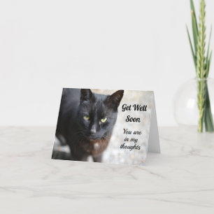Schwarze Katzenfalte werden bald gut Grußkarte Dankeskarte