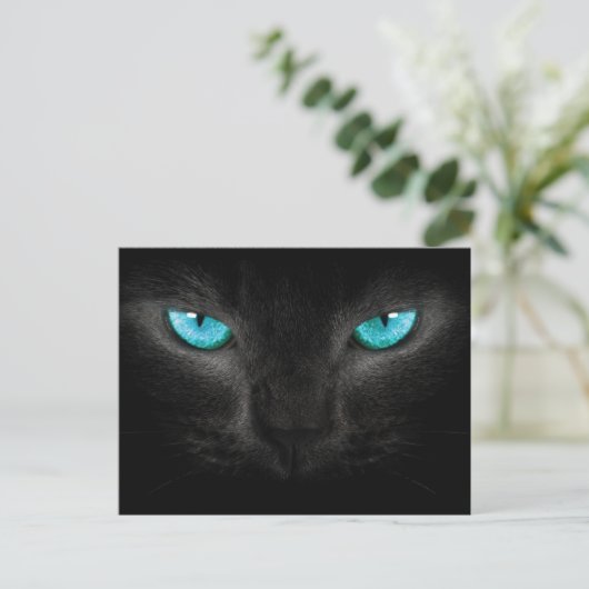 Schwarze Katzengesicht mit türkisfarbenen Augen Postkarte (Stehend Vorderseite)
