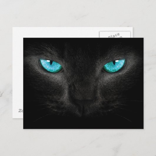 Schwarze Katzengesicht mit türkisfarbenen Augen Postkarte (Vorne/Hinten)