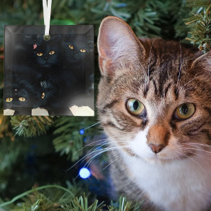 Schwarze Katzenkuschelhaufen Fellentiere Süß Ornament Aus Glas