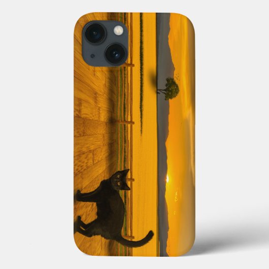 Schwarze Katzenlandschaft Case-Mate iPhone Hülle (Rückseite)