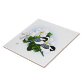 Schwarze Katzenpflaster Fliese (Seite)