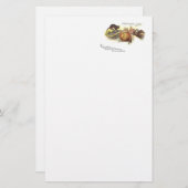 Schwarze Katzenschale Jack O' Lantern Hexenzunge Briefpapier (Vorne/Hinten)