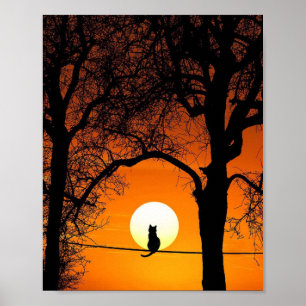 Schwarze Katzensilhouette Sonnenuntergang Poster