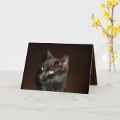 SCHWARZE KATZHALLOWESE-Karte Karte (Gelbe Blume)